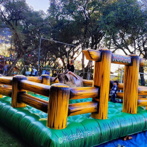 Touro Mecânico - Foto 2