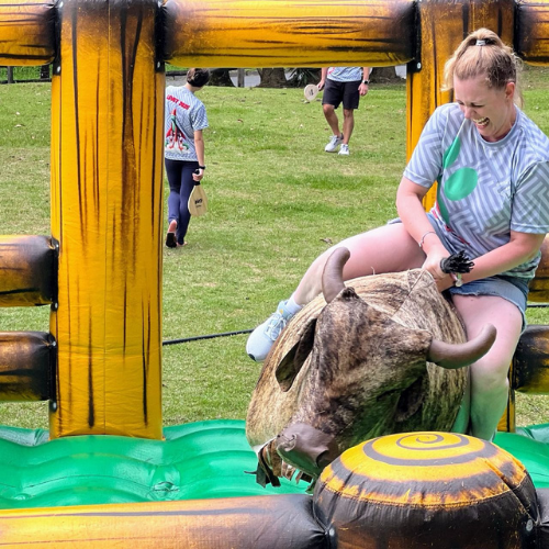 Touro Mecânico - Foto 3